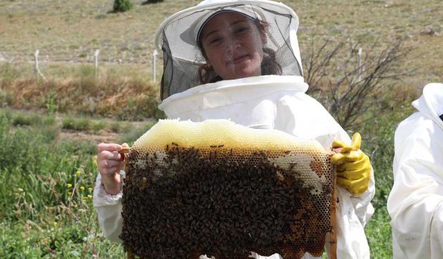 Eskişehir Odunpazarı Belediyesi Arıköy 2026 yılı arıcılık eğitimleri için kayıtlar başlıyor