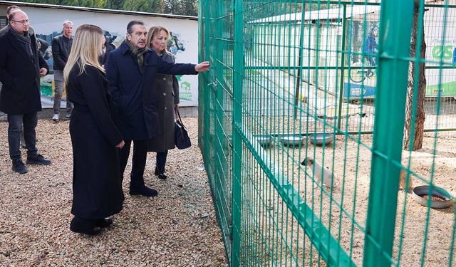 Eskişehir Tepebaşı Belediyesi Doğal Yaşam Merkezi’nde kısırlaştırılan hayvan sayısı açıklandı