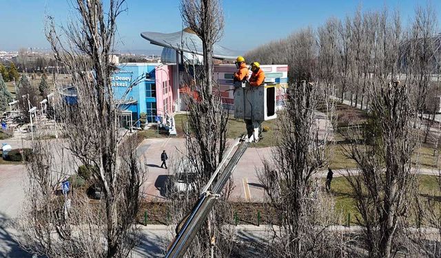Eskişehir'de o parka polen üretmeyen ve uzun ömürlü çınar ağaçları dikiliyor