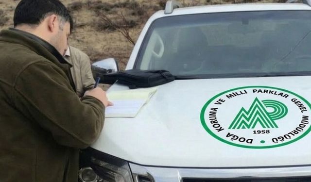 Yaban hayatına darbe vuran 3 kişiye rekor ceza kesildi