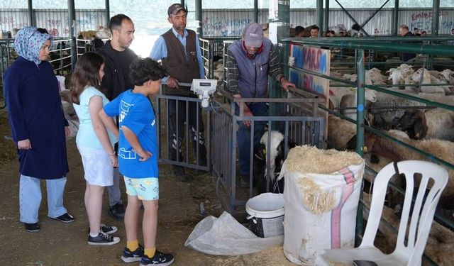 Eskişehir Büyükşehir Belediyesi'nden kurban pazarı ile ilgili açıklama
