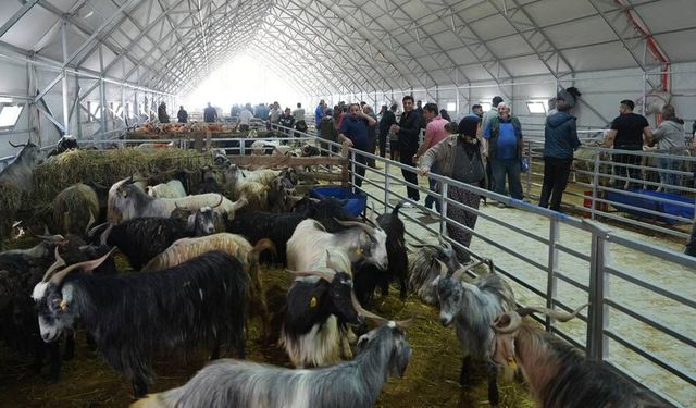 Eskişehir’de kurban kesimleri veteriner kontrolünde gerçekleştirildi