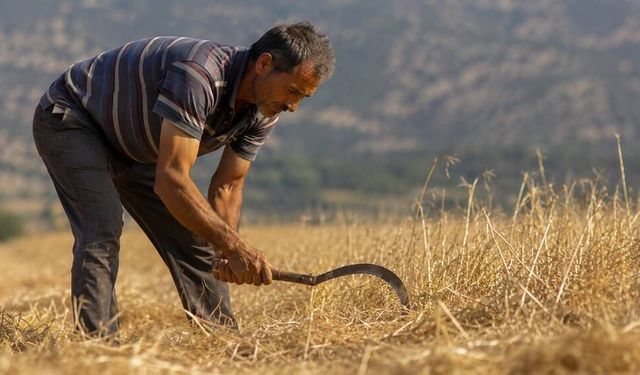 Eskişehir'de yaşayan çiftçiler dikkat; Hibe desteği için başvurmanız gerekiyor