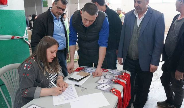 Tepebaşı Belediyesi Kurban Bayramı’nda ücretsiz kesim hizmeti sundu