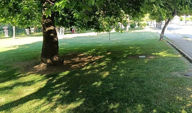 Aydın Arat Parkı'nda çalışmalar yapıldı; Servet Kahramaner'den teşekkür geldi