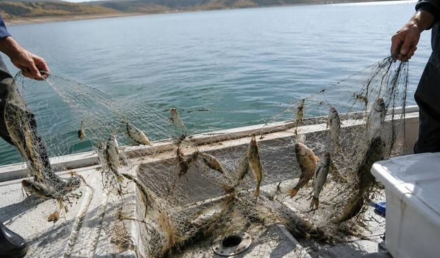 Eskişehir'de yasa dışı avcılığa geçit verilmiyor; 950 metrelik şoke eden detay