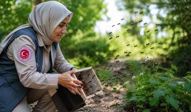 Çiftçileri bıktıran sorun ile mücadele için dev adım; 46 ilde çalışma başlattılar