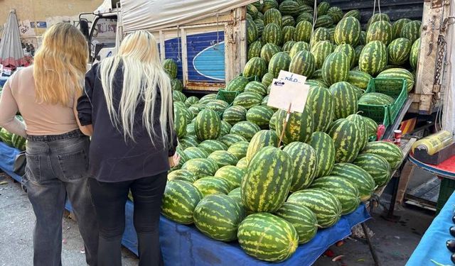 Eskişehir’de karpuzdaki sorun fiyatı değil; Bulunan çözüm herkesi memnun ediyor