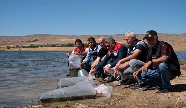 Eskişehir Keskin Göleti’nde balık popülasyonunu güçlendirecek hamle