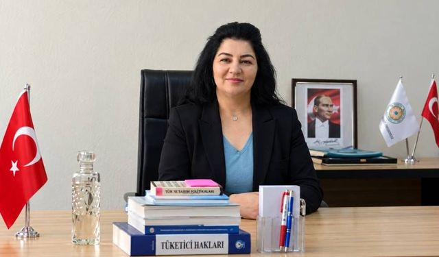 Ayşe Keskin'den doğalgazda kademeli fiyat uygulamasına tepki: 1 metreküp faturayı değiştiriyor