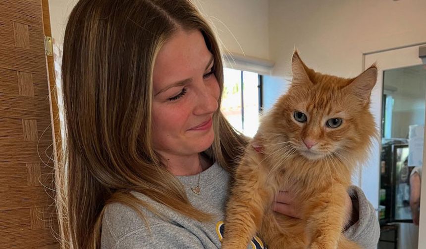 Avrupa Birliği'nden kedi ve köpekler için önemli hamle