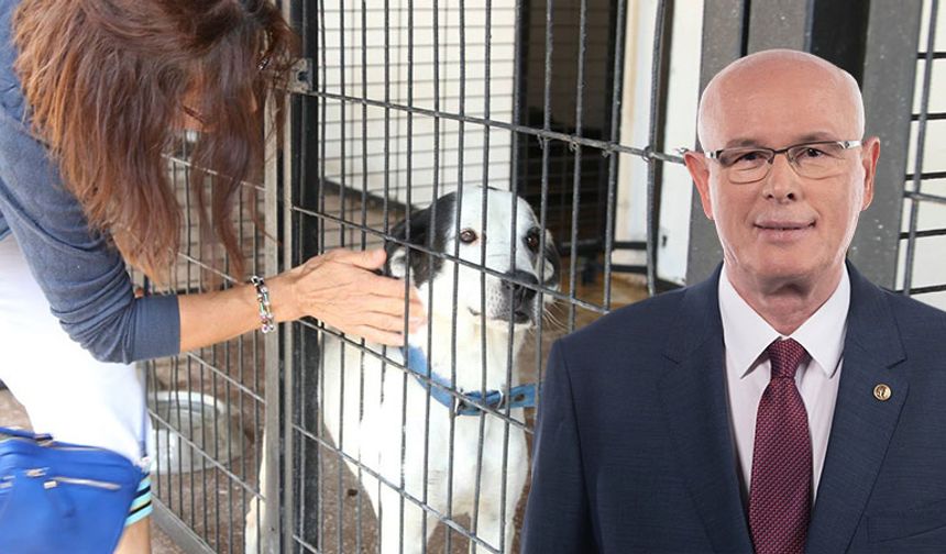 Odunpazarı Belediyesi'nden sokak hayvanları için önemli karar