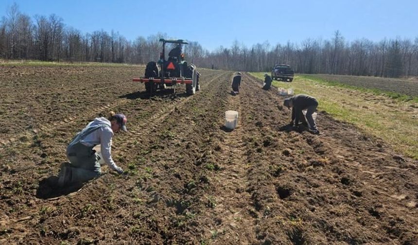 TÜİK verileri açıklandı; Eskişehir’de tarım işçilerinin kazancı belli oldu