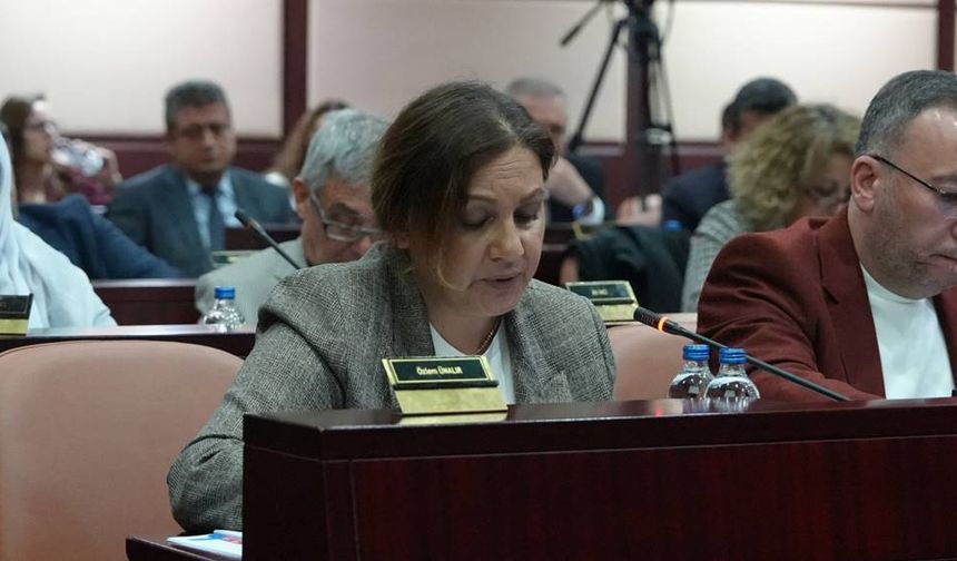 Özlem Ünalır'dan Tarihi Odunpazarı bölgesinde tarihi çeşmeler ile ilgili çağrı