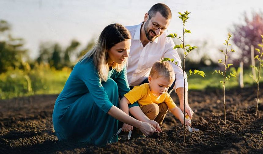 Seyitgazi’de bulunan Büyükyayla Mevkii’ne fidan diktiler