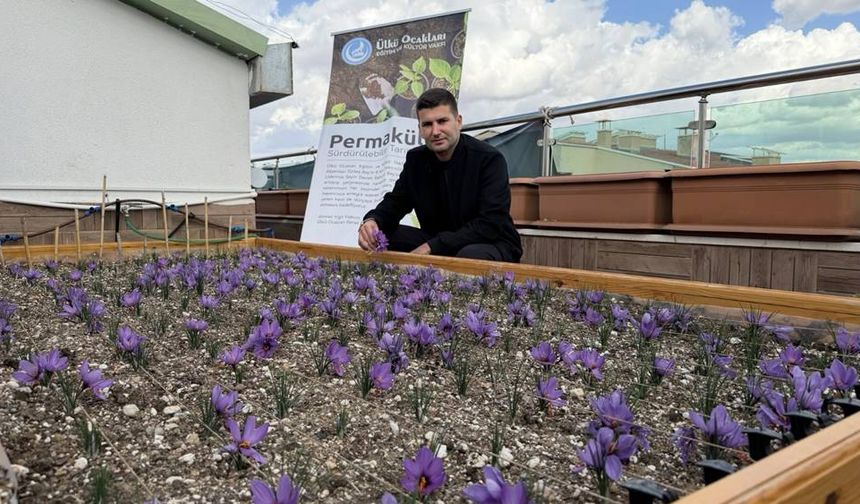 Ülkü Ocakları Genel Merkezi’nin çatısında örnek çalışma; “Yeşil vatanımız en büyük hazinemiz"