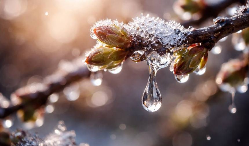 Cemre ne zaman düşecek; 2026 yılında cemrelerin düşeceği tarihler