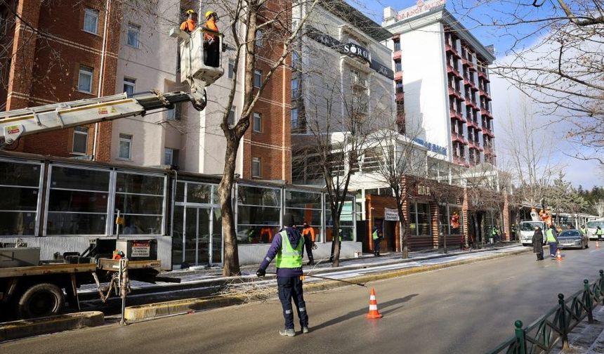Eskişehir'de kış dönemi budama çalışmaları devam ediyor