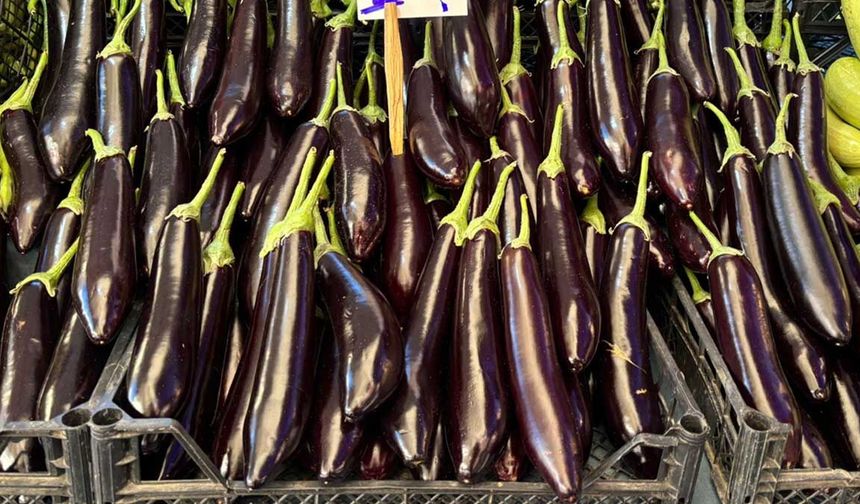 Eskişehir’de semt pazarlarında patlıcana bakan çok, alan yok