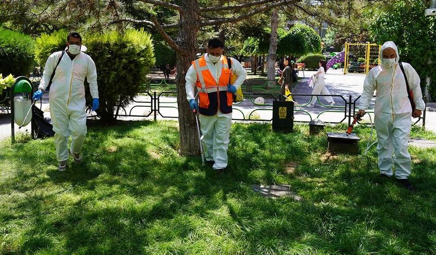 Eskişehir'de böcek ve sineklere karşı ilaçlama çalışmaları devam ediyor