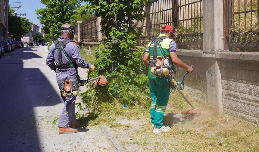 Eskişehir'de yol kenarlarında oluşan yabani otlar temizleniyor