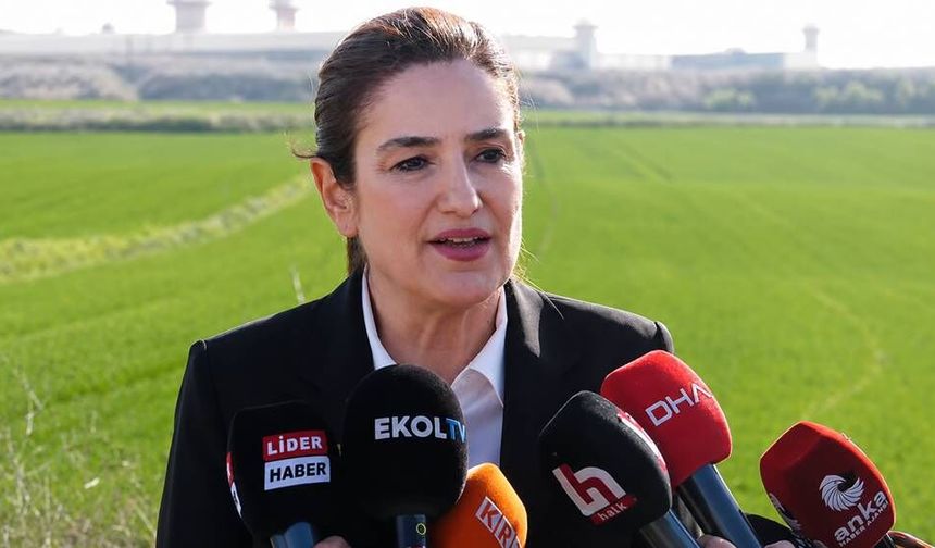 Avukat Ece Güner'den cezaevinden dikkat çeken Haluk Levent açıklaması