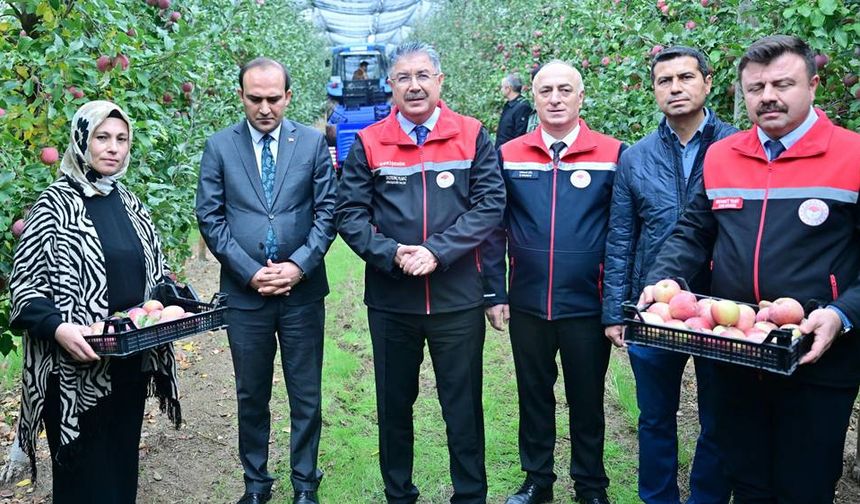 Eskişehir'de 570 dekarlık arazide üretim: Bu yıl 5 bin ton hasat bekleniyor