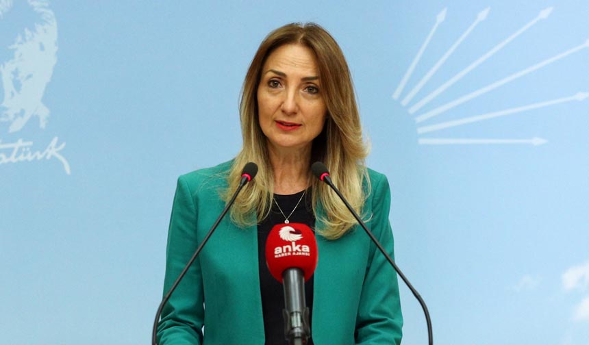 Aylin Nazlıaka Huzurevlerine Yapılan Zammı Geri Çekin!