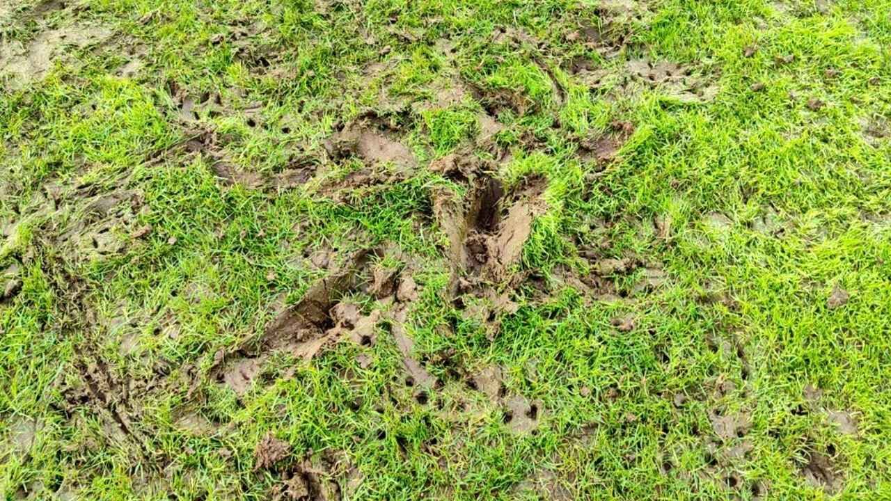 Stadyumun zemini Eskişehirspor'a sıkıntı yaratabilir; Bu zemin Eskişehir'e yakışmıyor