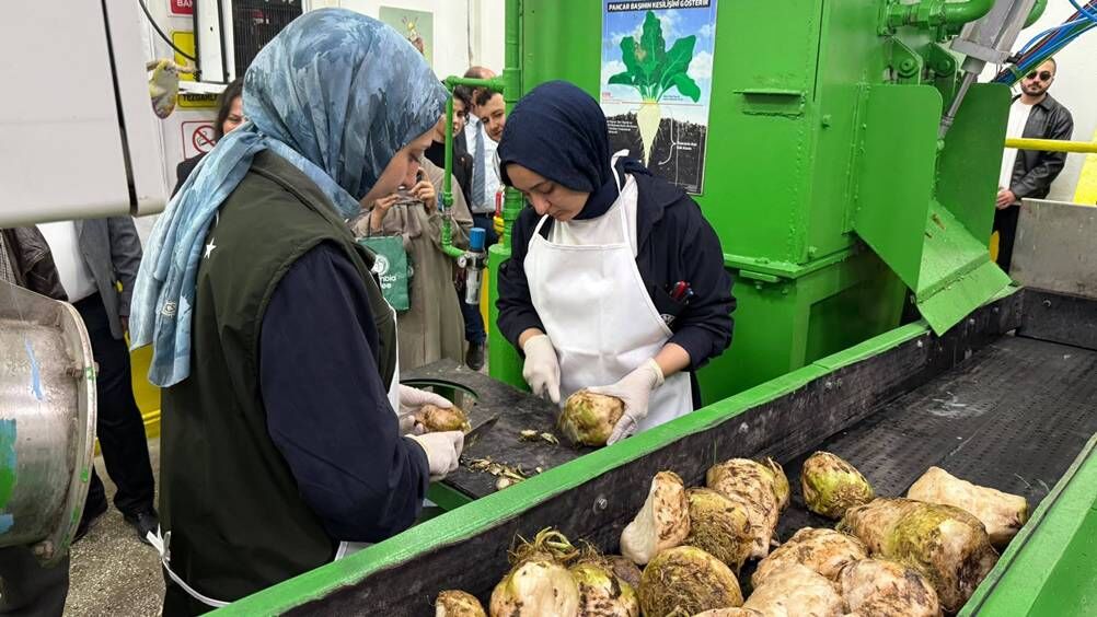Eskişehir Şeker Fabrikası’nda pancar alım sezonu başladı; Şeker-İş Sendikası'ndan açıklama geldi