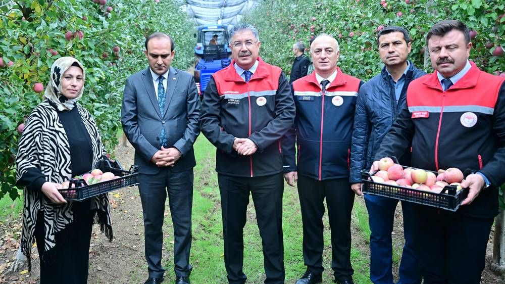 Eskişehir'de 570 dekarlık arazide üretim: Bu yıl 5 bin ton hasat bekleniyor